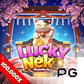 Mèo May Mắn - lucky 8